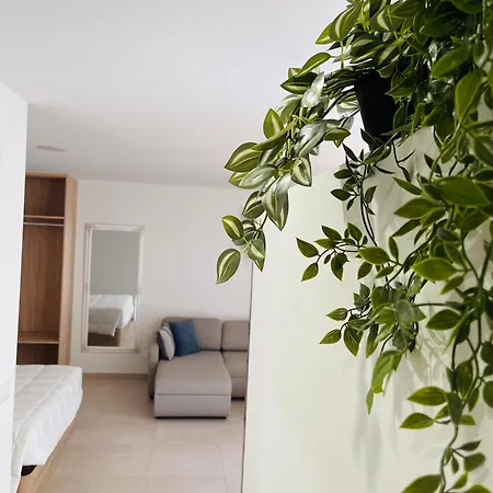 Apartment Limar Portonovo - *